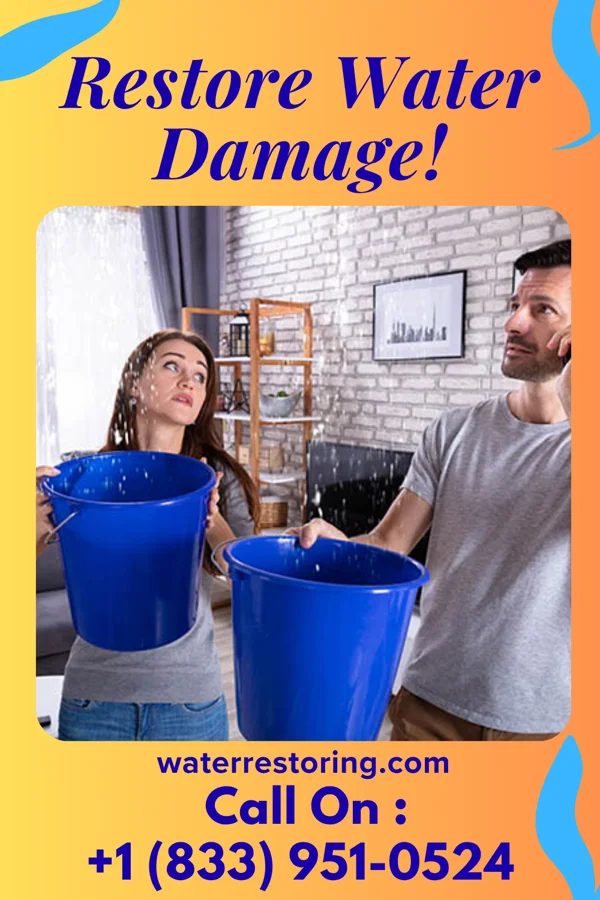 water restoration Ideal Cleanup Services Everett