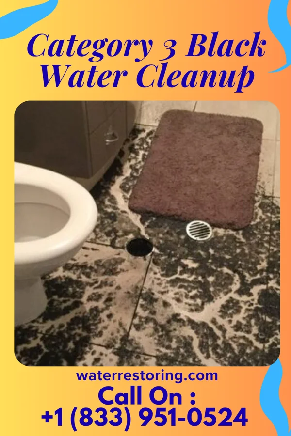 Category 3 Black Water Cleanup in Everett, MA