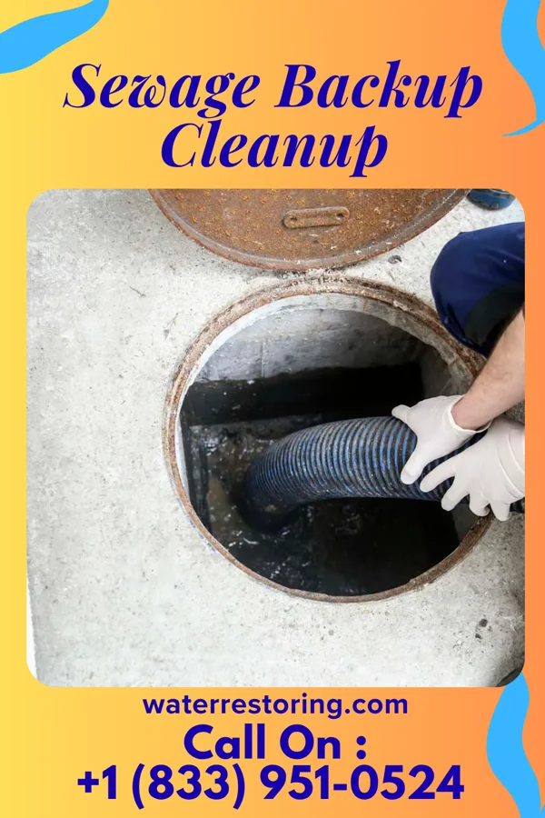 Sewage Backup Cleanup in Everett, MA